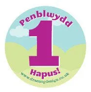 Birthday badge 'Pen-blwydd Hapus!' Age 1-4