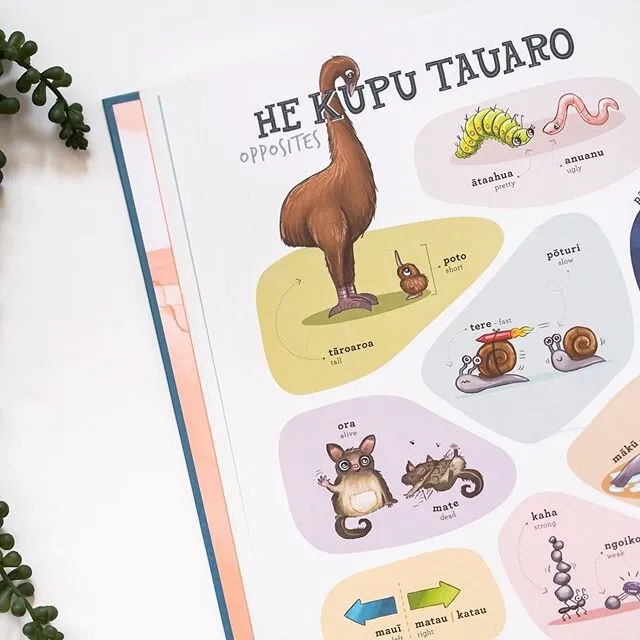 Kuwi and Friends Māori Picture Dictionary