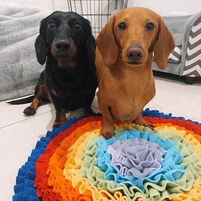 Over The Rainbow Snuffle Mat