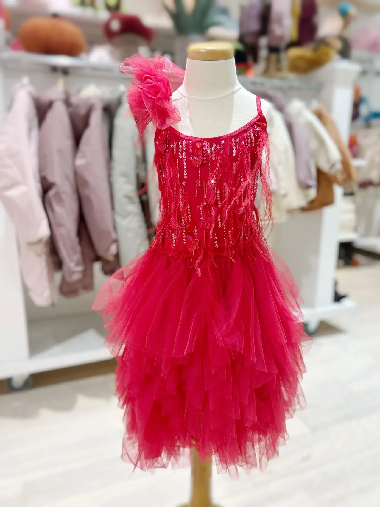 Tutu Du Monde Ruby Dazzle Tutu Dress